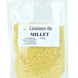 Graines de millet